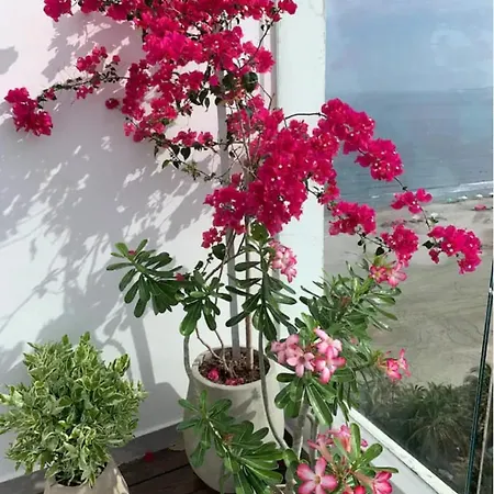 Penthouse Luxury Con Vista Al Mar, Piscina Y Capacidad 12 Personas * Cartagena